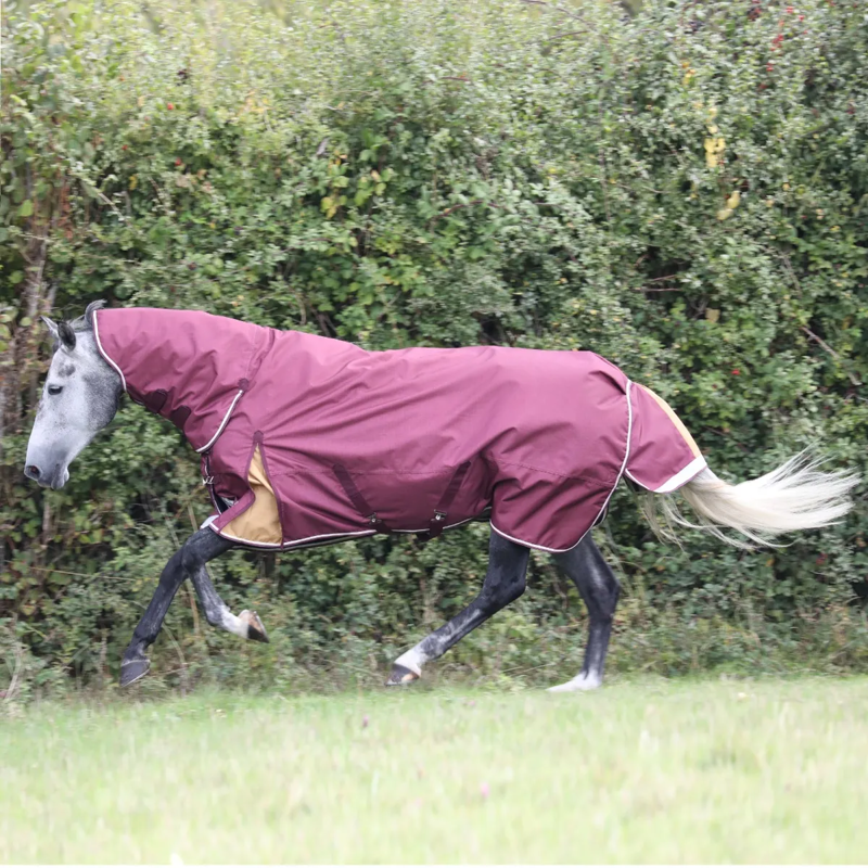 Shires Highlander Plus 100 Combo Turnout Rug - Maroon-2